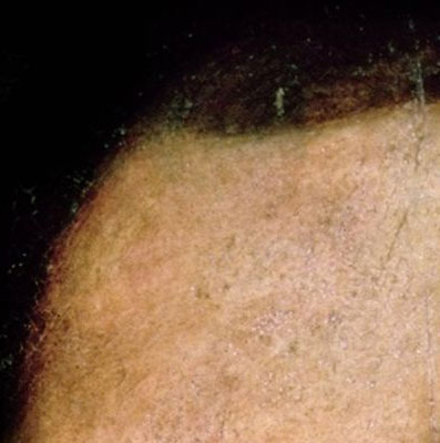  lado superior centro del cuadro del autorretrato de Cervantes con frente de Cervantes